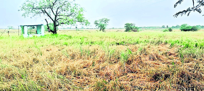 అకాల వర్షం.. రైతుకు నష్టం3