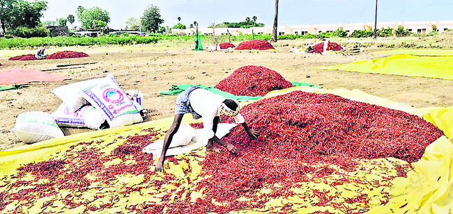 అకాల వర్షం.. రైతుకు నష్టం2