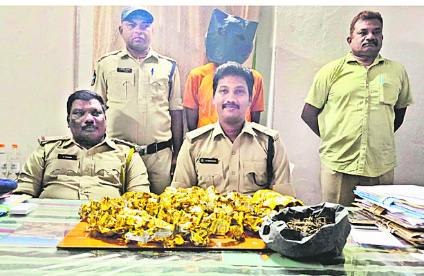 పల్నాడు జిల్లాలో విస్తరిస్తున్న గంజాయి వినియోగం
1