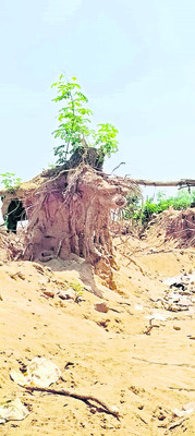 స్వర్ణముఖిలో ఇసుక తోడేళ్లు1