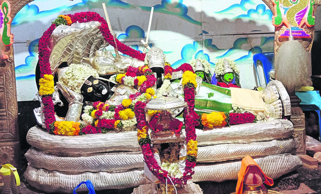 తర్తూరు జాతర చూసొద్దాం రండి! 3
