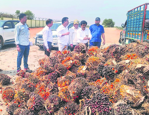 కార్యకర్తలకు అండగా ఉంటా
2