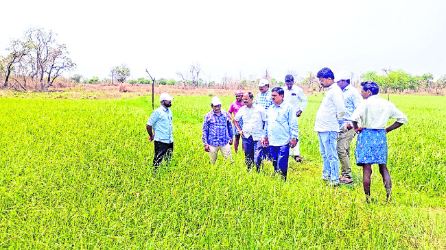 నష్టపోయిన రైతులు అధైర్యపడొద్దు1