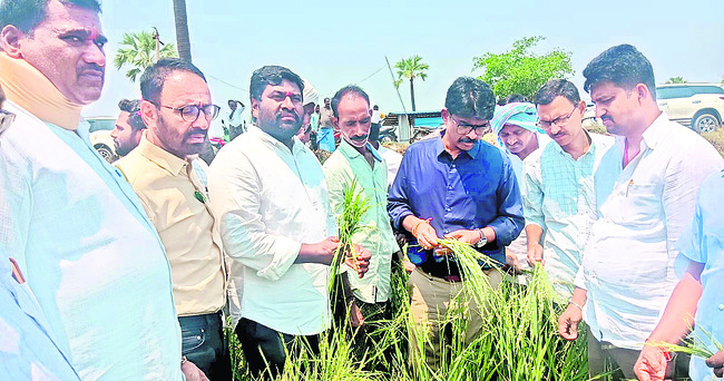 నష్టపోయిన రైతులు అధైర్యపడొద్దు2
