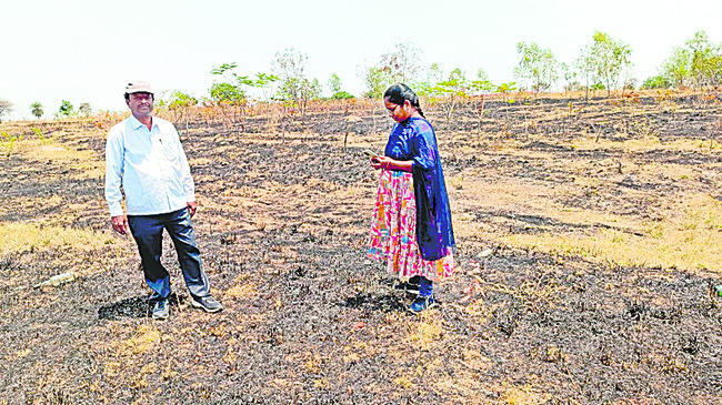 బ్లాక్ ప్లాంటేషన్ను పరిశీలించిన అధికారులు 1