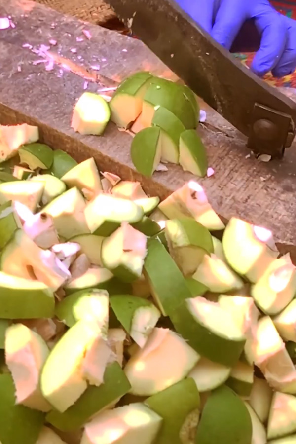 Ram Charan WIfe Upasana MOther in Law Surekha Konidala Prepared Mango Pickle Photos12