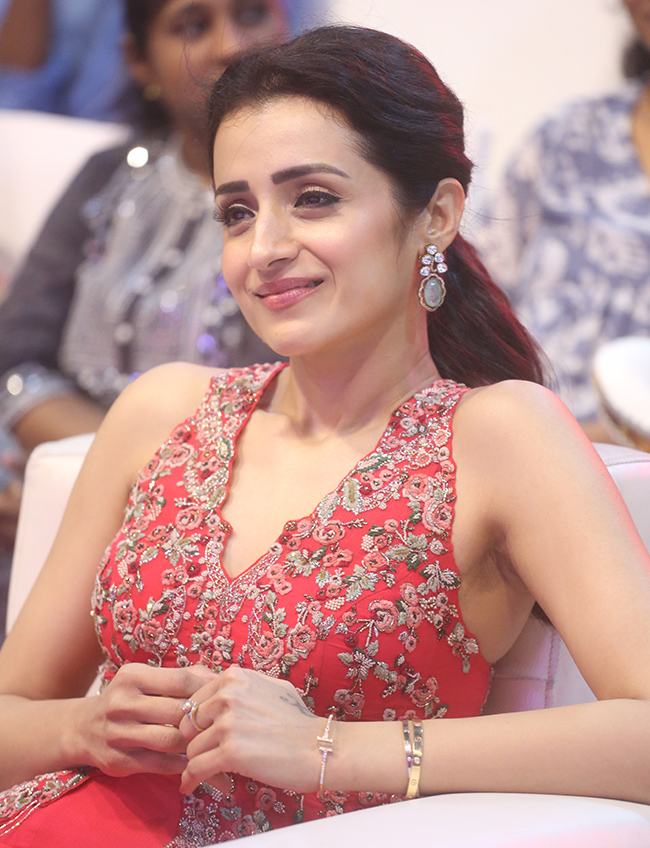 Thug Life Pre Release Event In Vizag Photos15