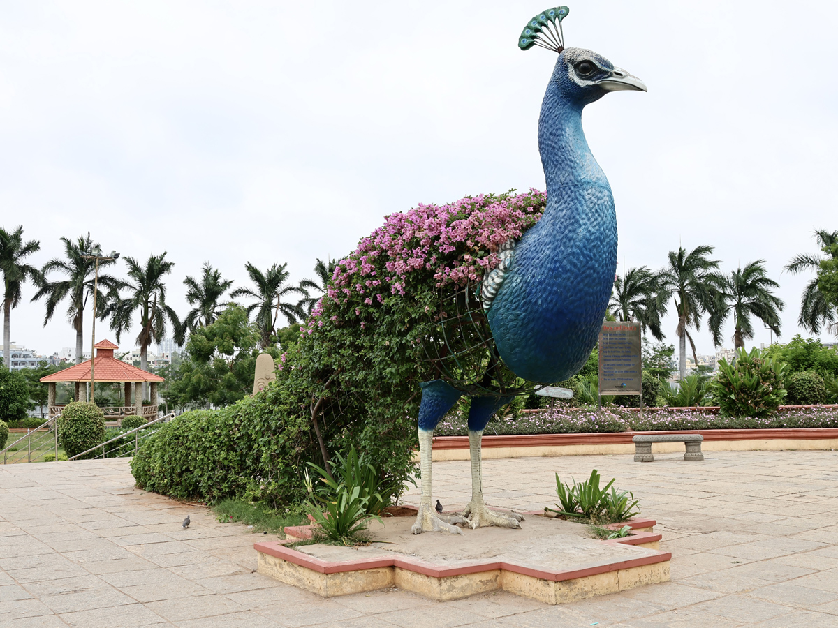 Best Photos of The Week in AP and Telangana Photo Gallery4