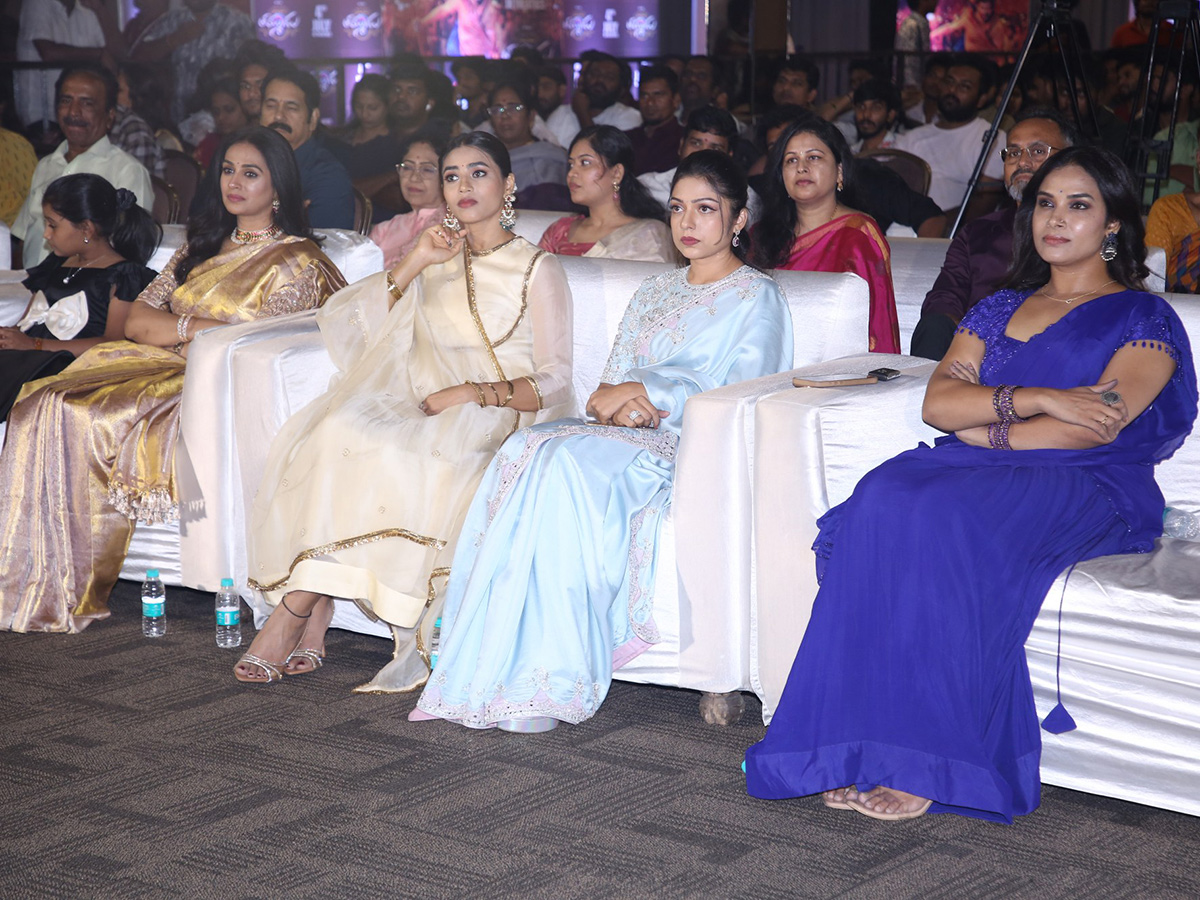 Nithiin Thammudu Movie Pre Release Event Photos 17