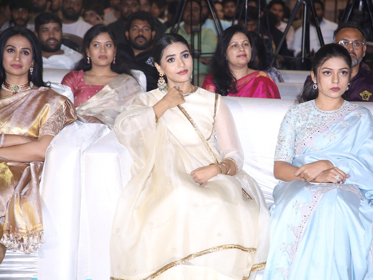 Nithiin Thammudu Movie Pre Release Event Photos 20