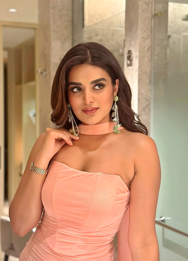 Actress Nidhhi Agerwal Latest Photos Viral6