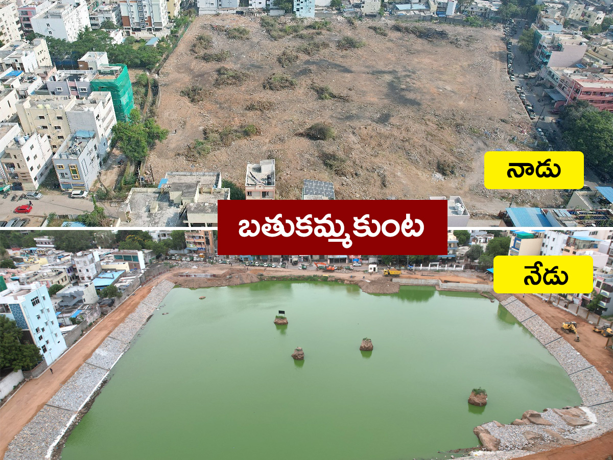 Hydra Gave Life To Bathukamma Kunta Lake Hyderabad Photos1