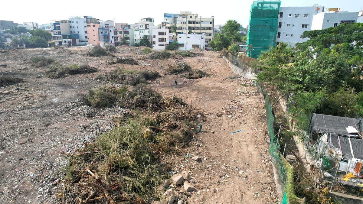 Hydra Gave Life To Bathukamma Kunta Lake Hyderabad Photos3
