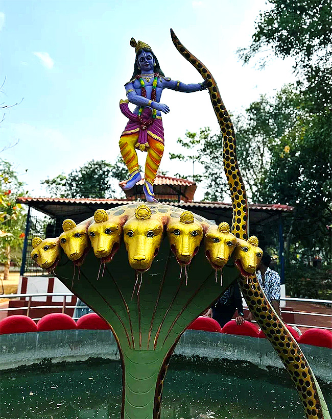 Devotional : Ratnaalayam Sri Venkateswara Swamy Temple Aliabad Telangana14