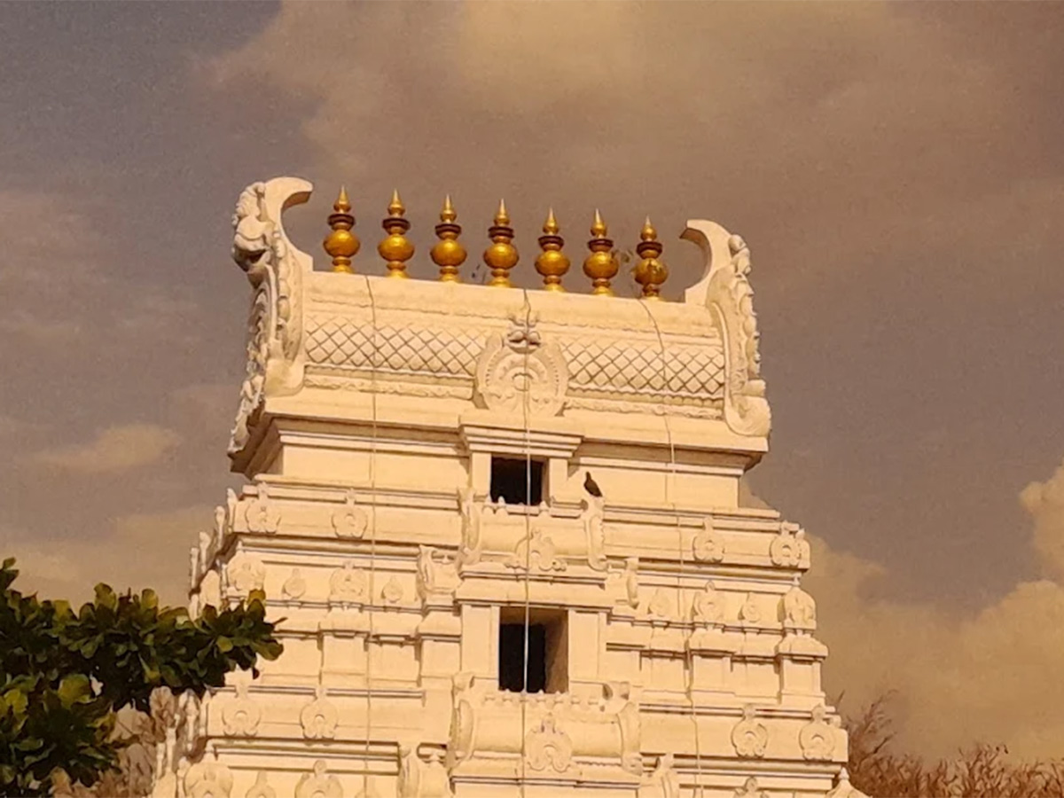 Devotional : Ratnaalayam Sri Venkateswara Swamy Temple Aliabad Telangana25