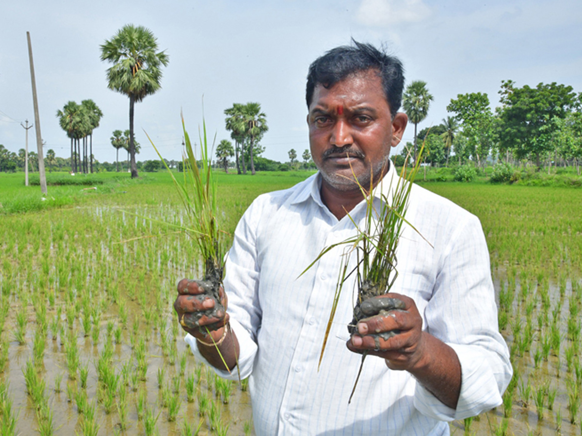 Best Photos of The Week in AP and Telangana Photo Gallery18
