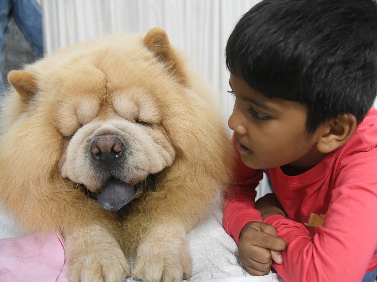 National Dog Show in Visakhapatnam4