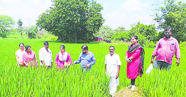 నేడు ఎస్సీ, ఎస్టీ కమిషన్ చైర్మన్ రాక
2