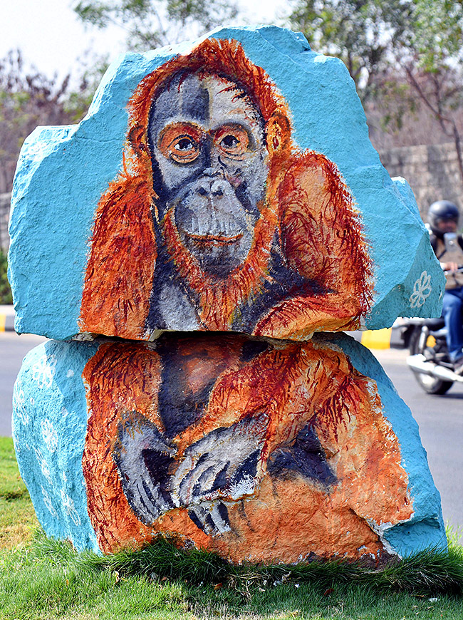 Wild Animals in Hyderabad Roads 20