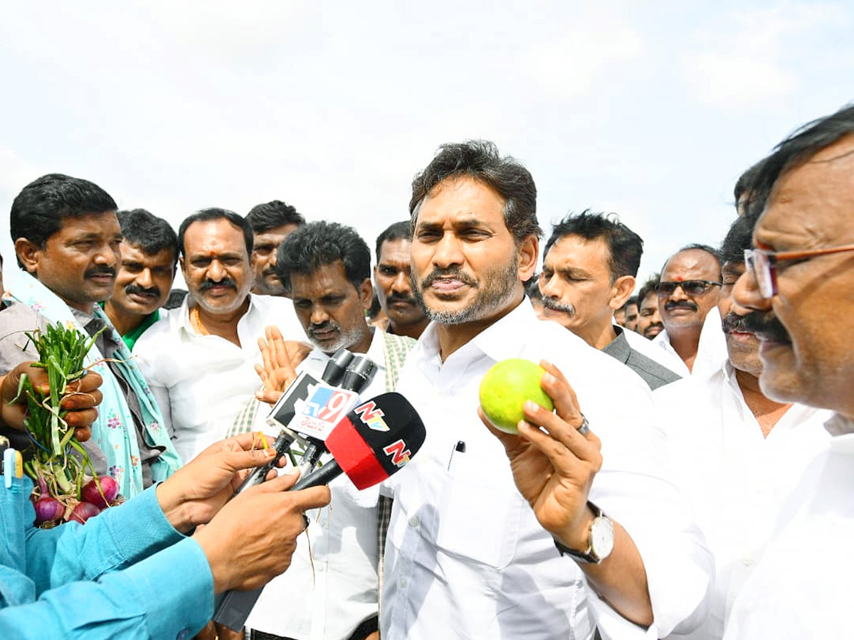 YS Jagan Visits Onion And Cheeni Farmers Photos 3