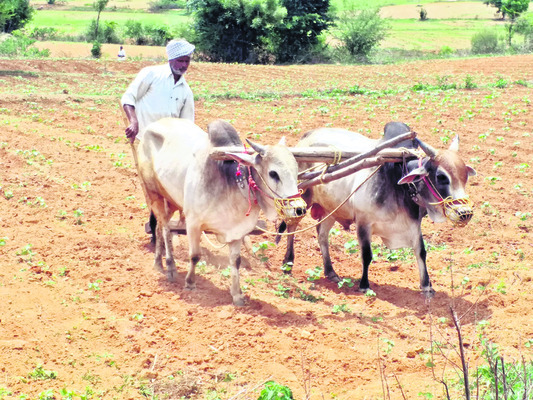 రైతులకు పింఛన్ 1