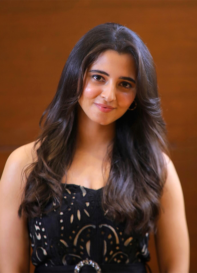 Tollywood Actress Preethi Asrani Latest Photos3