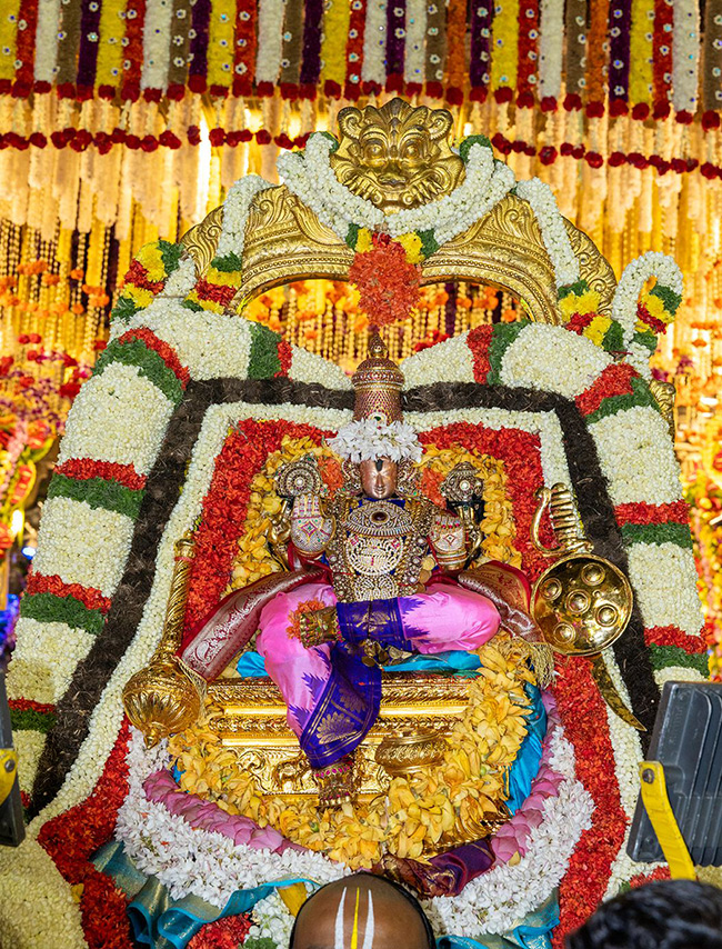 Devotional : Tirumala Srivari Salakatla Brahmotsavam 2025 Photos 9