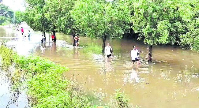 బాసరకు మళ్లీ బ్యాక్బాటర్ 1