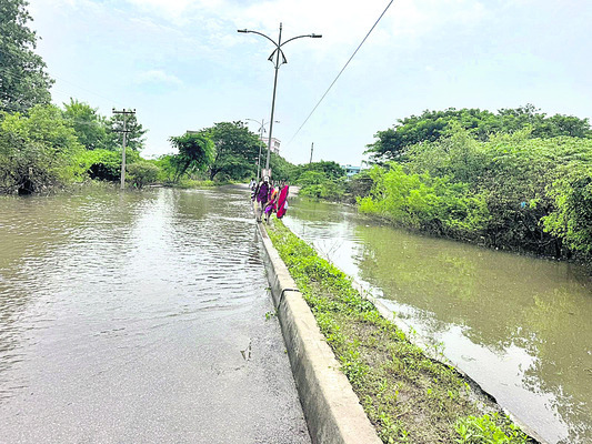 బాసరకు మళ్లీ బ్యాక్బాటర్ 2