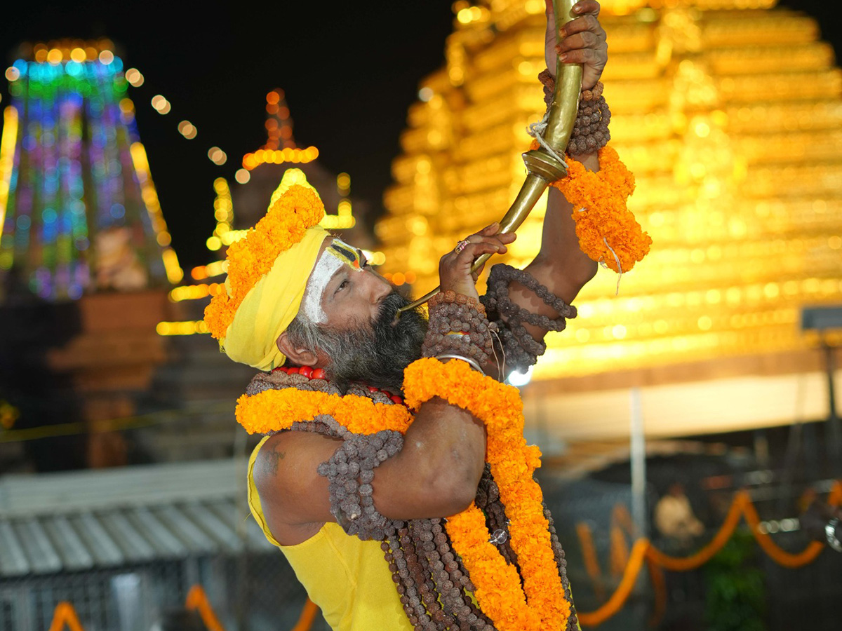 Dussehra 2025 Navaratri Utsavalu In Srisailam Photos11