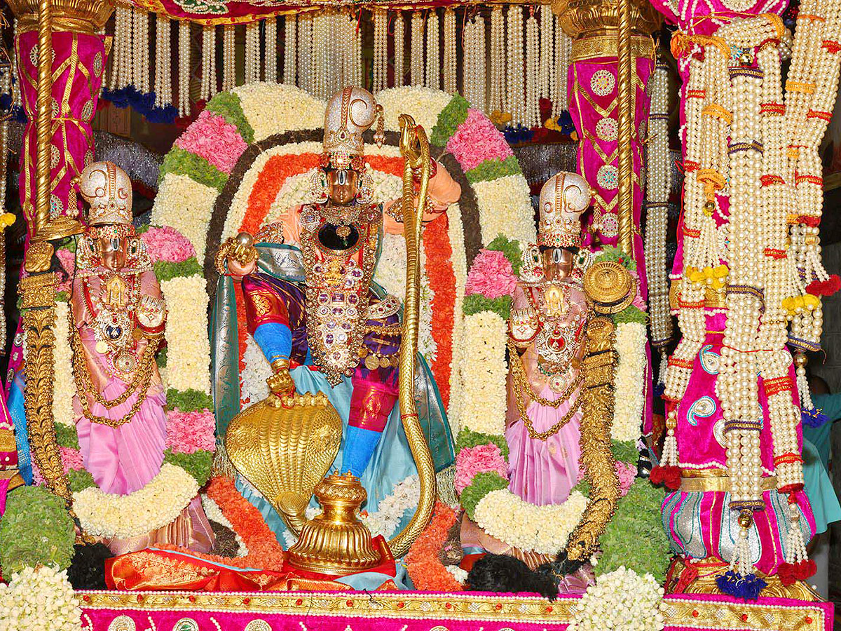 Srivari Brahmotsavam Muthyapu Pandiri Vahanam Photos4