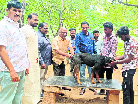 పర్యావరణ పరిరక్షణ అందరి బాధ్యత1