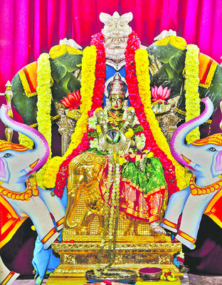 పల్నాడు6