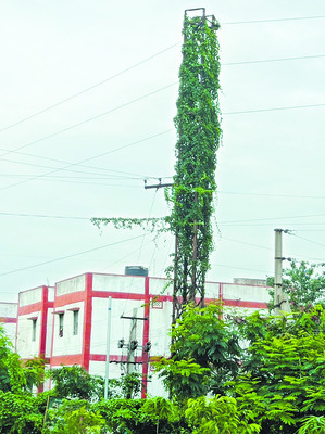 గుడుంబా స్వాధీనం
3