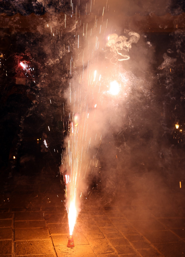 YS Jagan's Couple in Diwali Celebrations (Photos)14