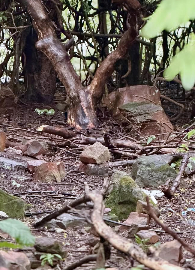 Abhinaya visits Tirupati Venkanna with her husband (Photos)9