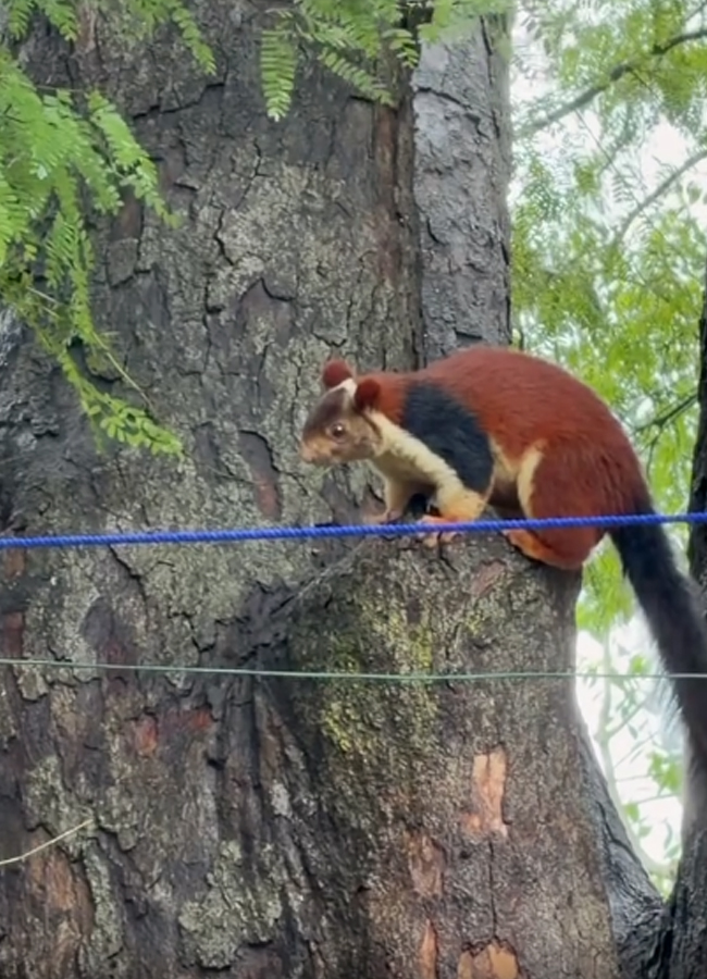Abhinaya visits Tirupati Venkanna with her husband (Photos)10