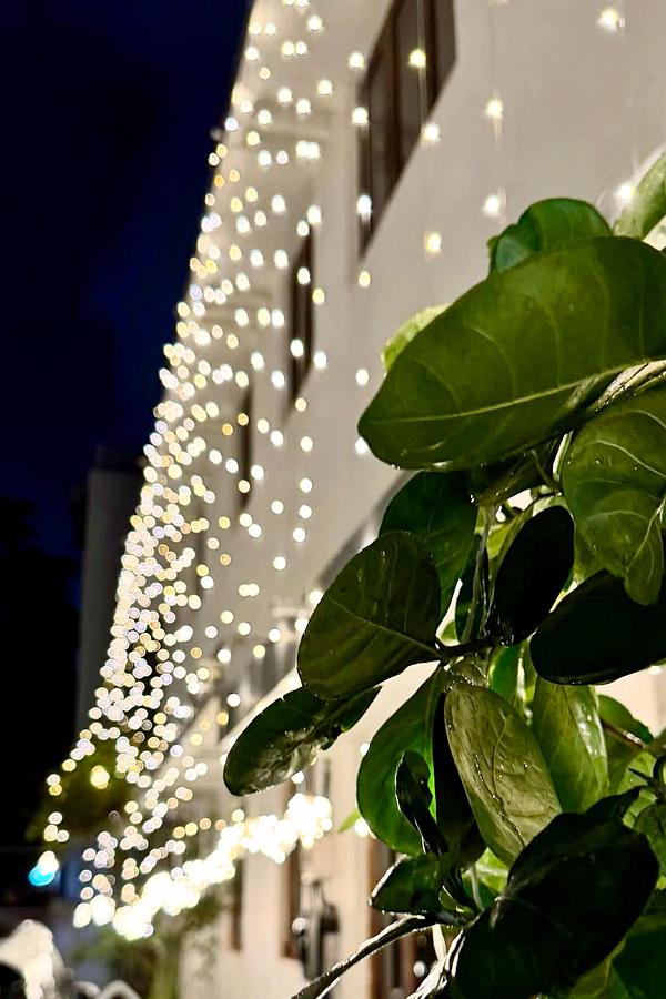 Actor Nithiin Diwali Celebrations With His Wife Shalini Kandukuri Photos4