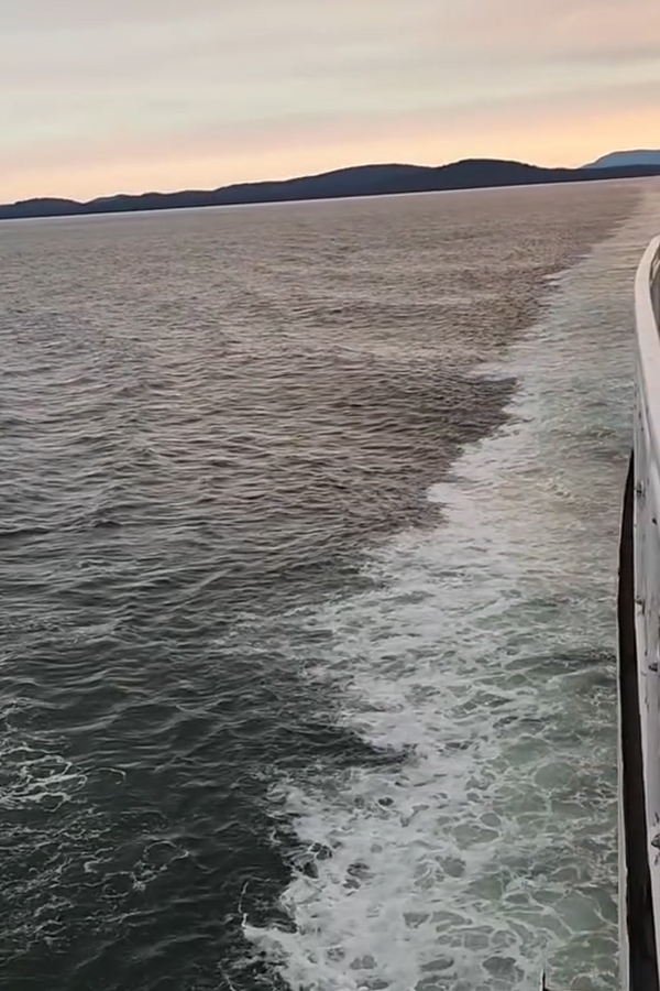 Senior Actress Bhagyashree Canada Trip Photos12