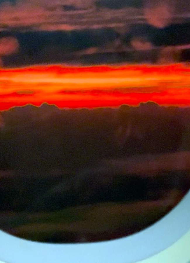 Tollywood actress Amala Paul Birthday Celebrations (Photos)6