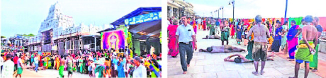 ఆరుపడై వీడులలో.. స్కంధ షష్టి మహోత్సవం1