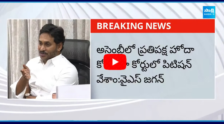 Jagan Petition: అసెంబ్లీలో ప్రతిపక్ష హోదా కోరుతూ కోర్టులో పిటిషన్ వేశాం