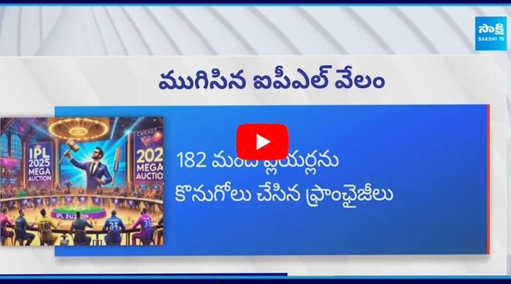 	IPL 2025 Teams: ముగిసిన ఐపీఎల్ మెగా వేలం