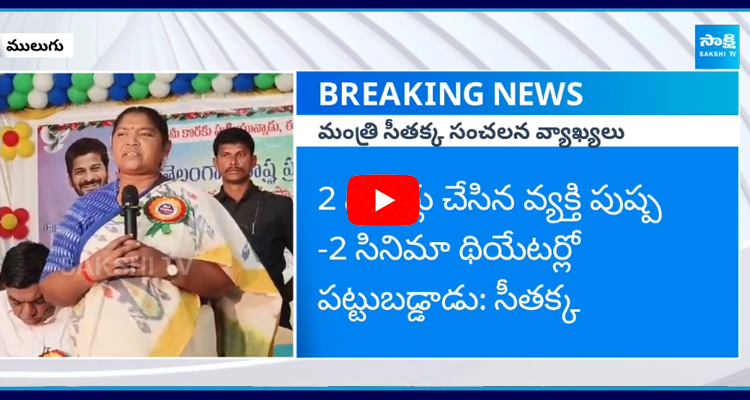 పుష్ప-2 మూవీపై హాట్ కామెంట్స్ చేసిన మంత్రి సీతక్క