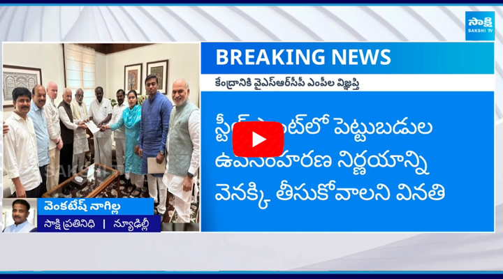 Vizag Steel Plant: మంత్రి కుమారస్వామిని వైఎస్సార్‌సీపీ పార్లమెంట్‌ సభ్యులు కలిశారు. 