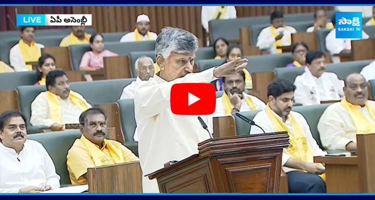 Chandrababu Naidu Taking Oath In Assembly