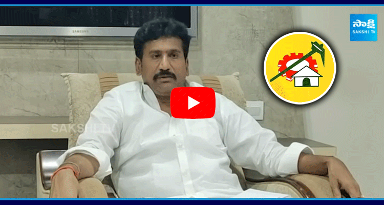 Thopudurthi Prakash Reddy Sensational Comments On TDP And Yellow Media