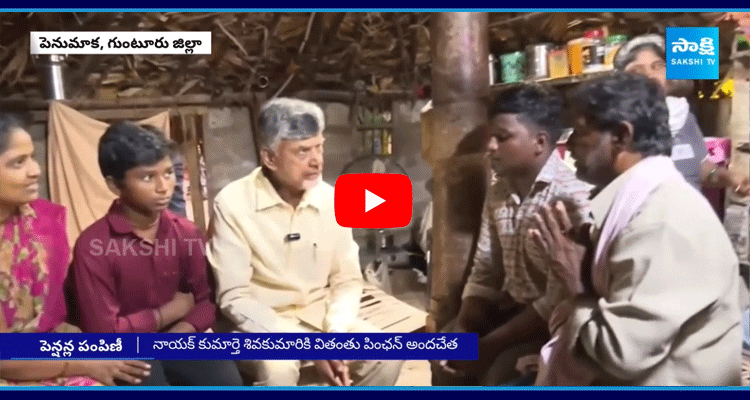 CM Chandrababu Gives Pension To Pamulu Nayak Family