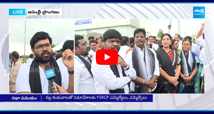 YSRCP MLAs And MLCs Protest At AP Assembly