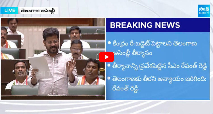 CM Revanth Reddy Demands for Re Budget 
